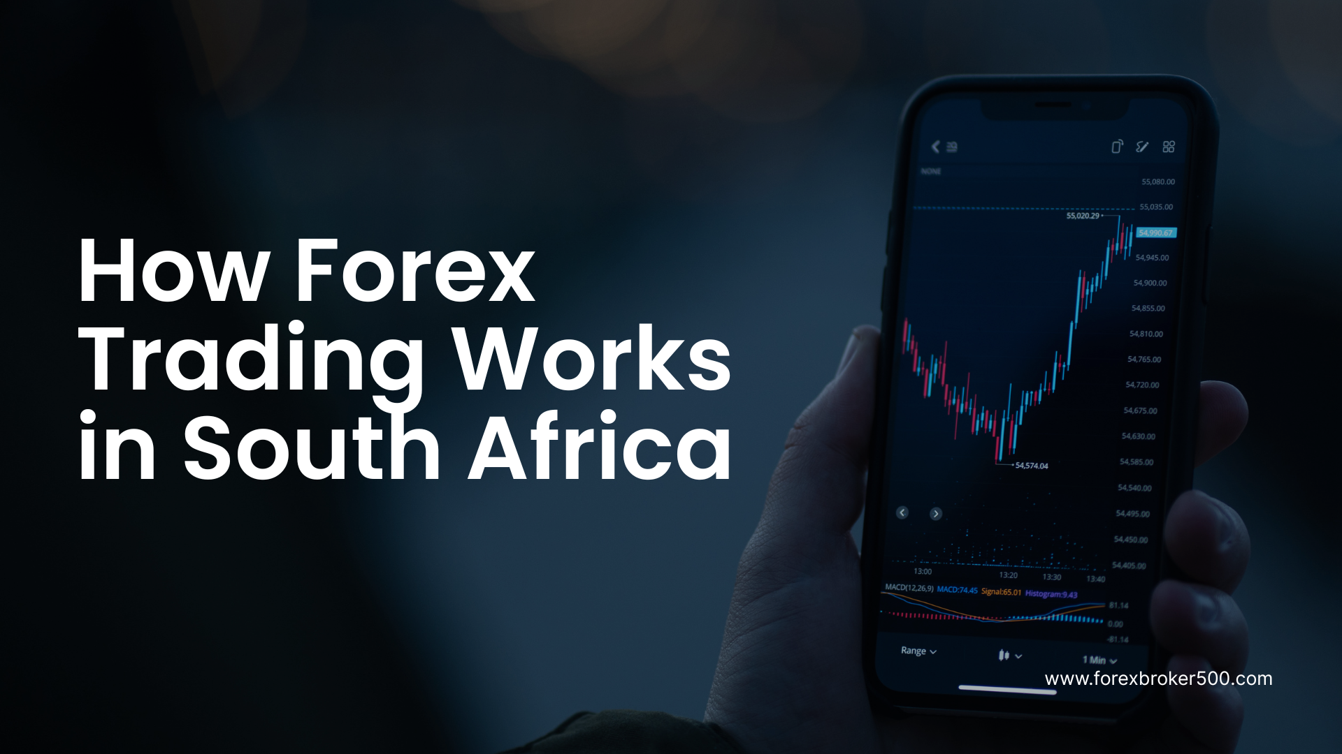 how forex trading works in south africa
